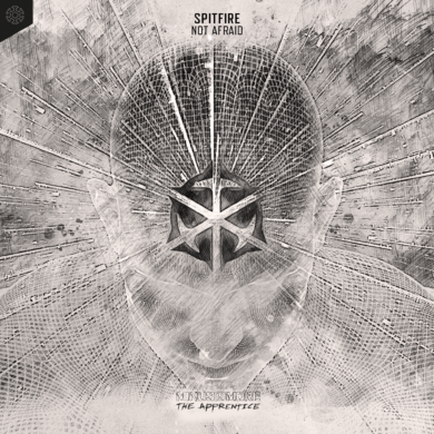 Spitfire-Not-Afraid_SQUARE